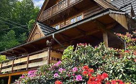 Chata Sosnówka Residence